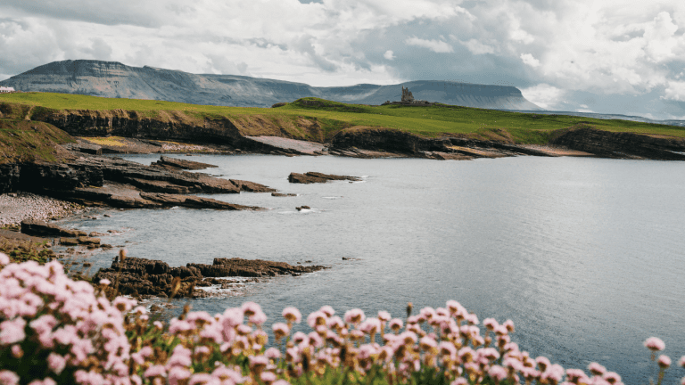 Irish Wonder with Costsaver