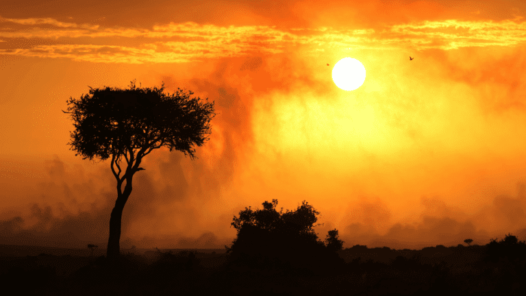 Romantic Escape at the 5* Clifftop Safari Hideaway